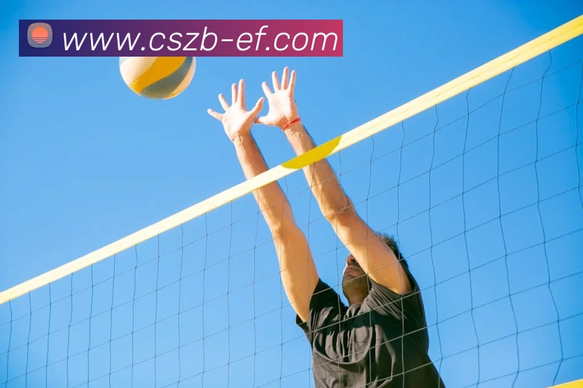 彩神争霸APP 封面图